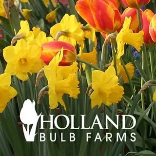 Holland Bulb Farms discount code